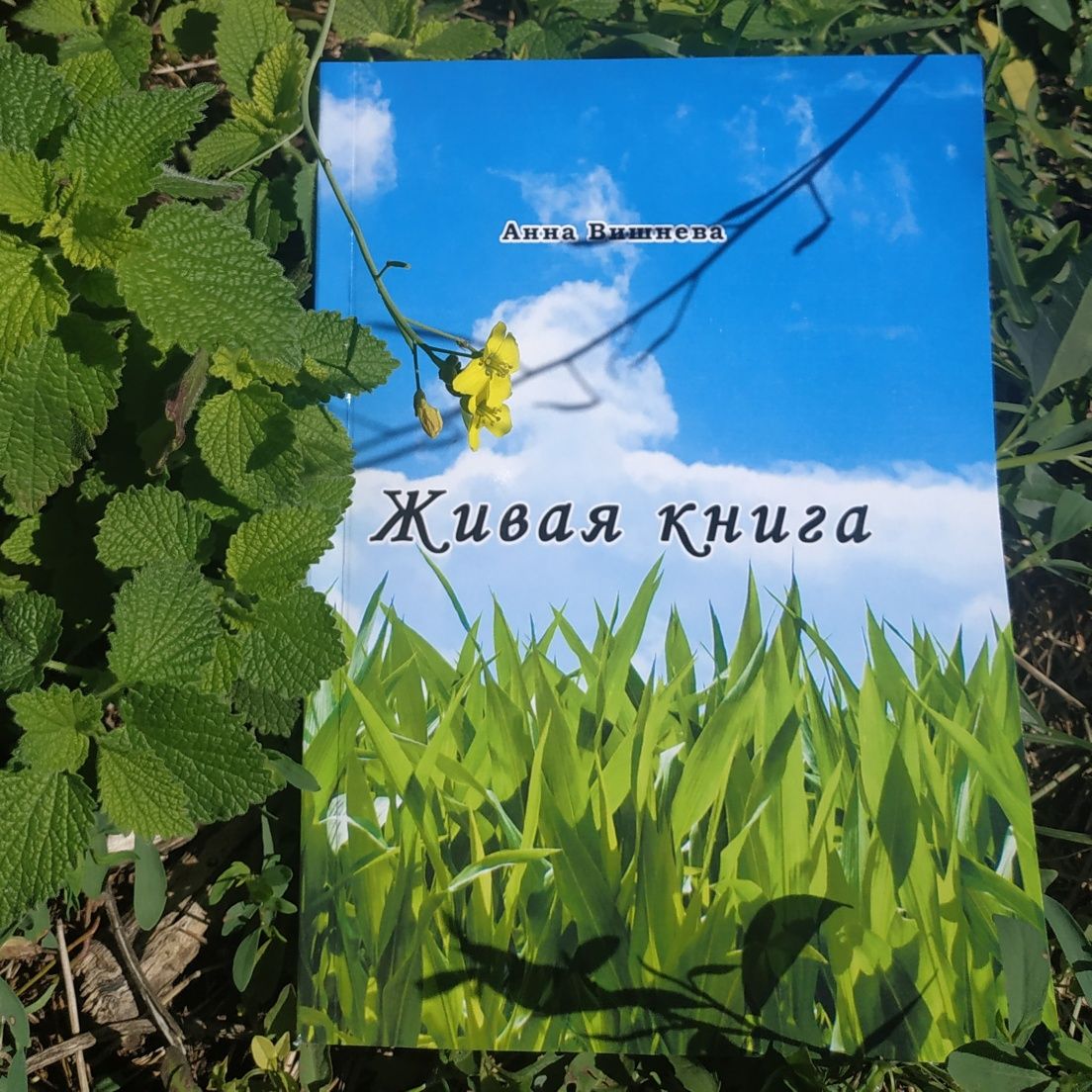 "Живая книга" Анны Вишневой