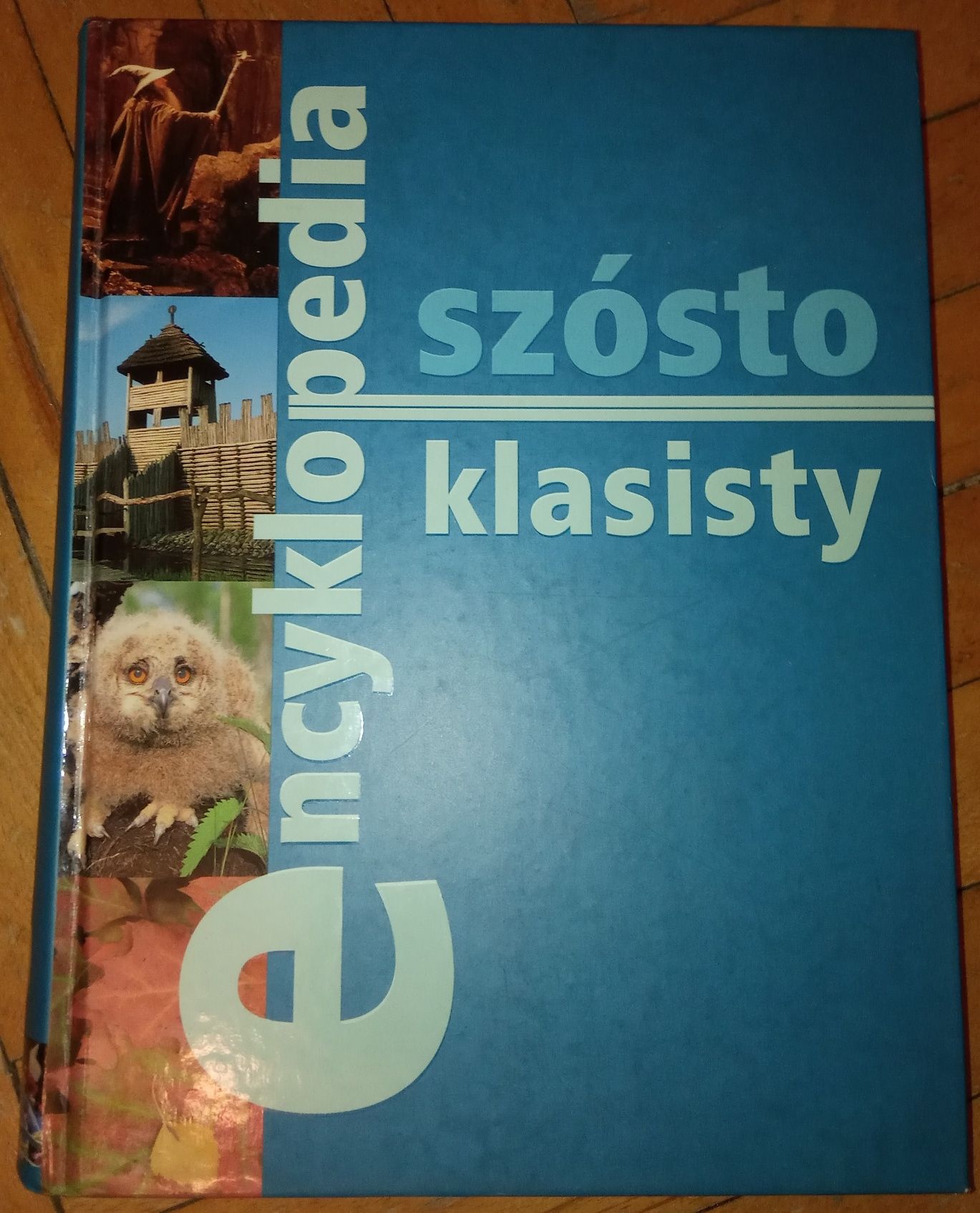Encyklopedia szóstoklasisty