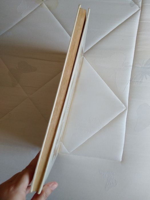 Grande Bíblia Ilustrada Antigo Testamento Verbo Juvenil