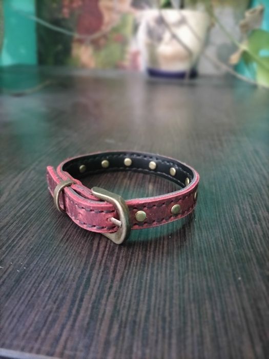 Ошийник для собаки