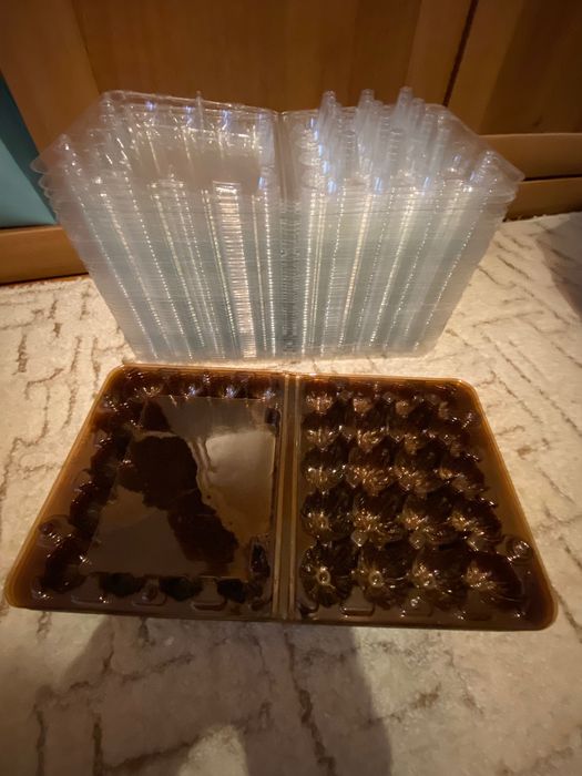 Лотки (упаковка, контейнеры) для перепелиных яиц (54 шт)