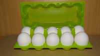 Упаковка для курячих яєць, кольорові, на 10 місць