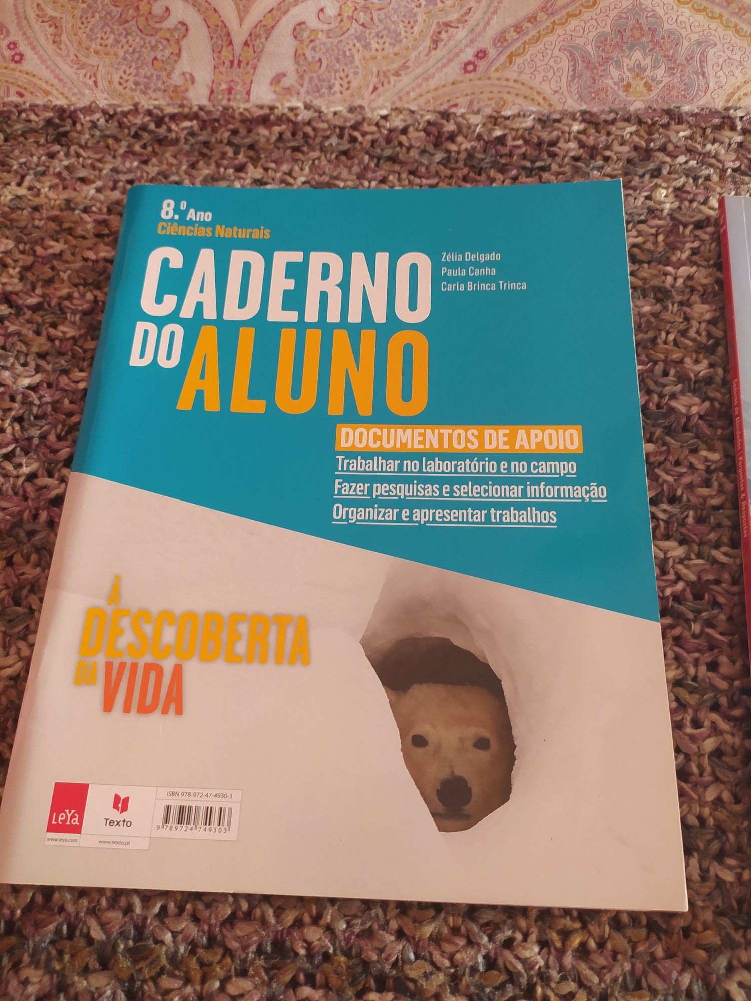 Cadernos de atividades 8° ano