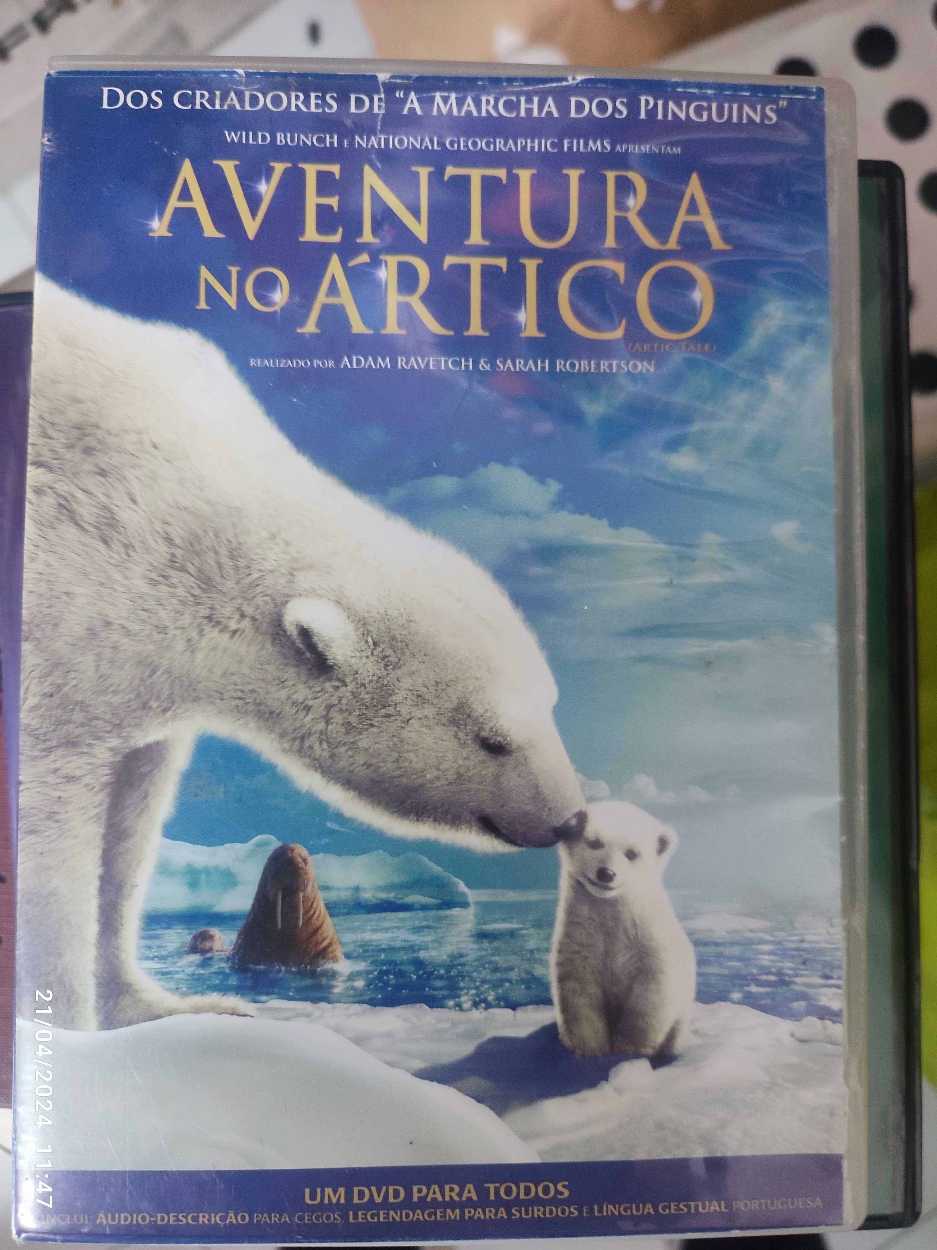 DVD Aventura no Ártico
