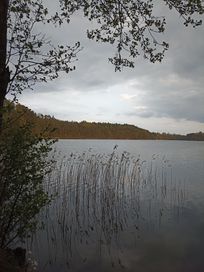 Pokoje gościnne, agroturystyka