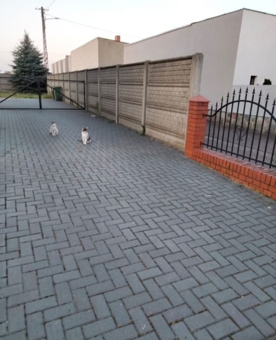 Dom  na sprzedaż