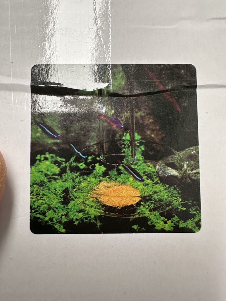 Feeder alimentador de vidro para aquario