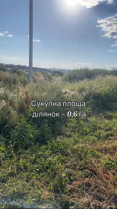 Три земельні ділянки біля Львова/Земельна ділянка/Велика ділянка