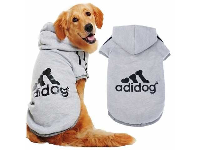 Bluza dla psa S szara