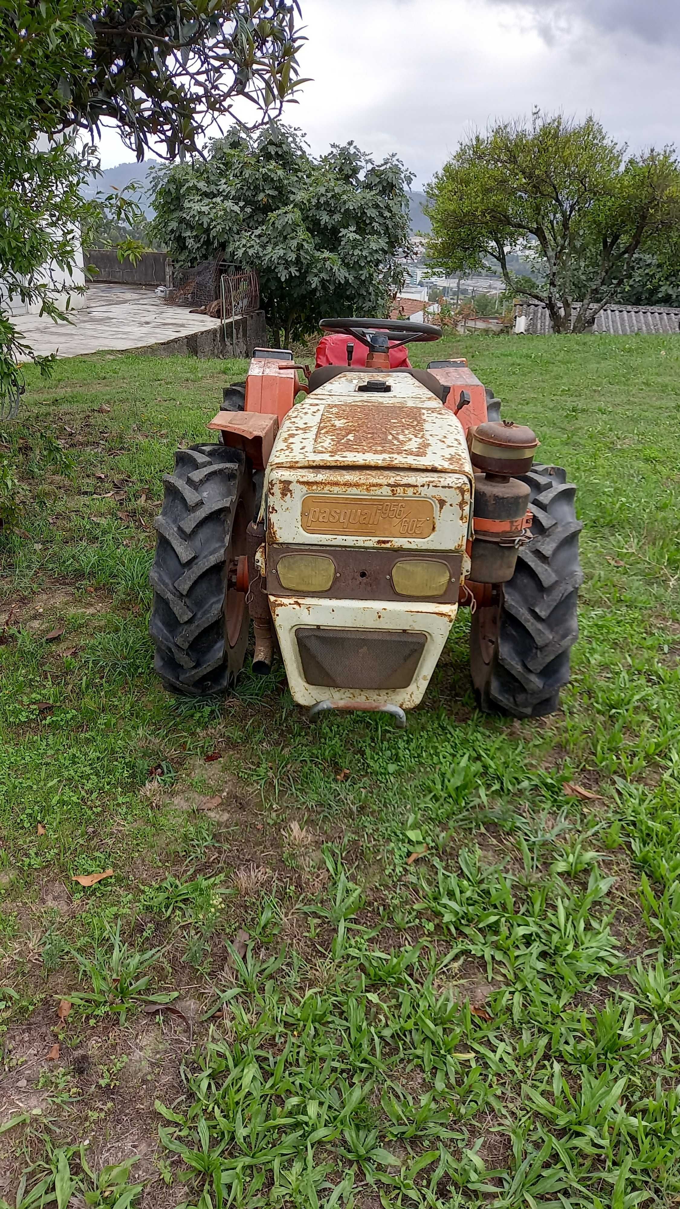 Trator Pasquali a funcionar com equipamento