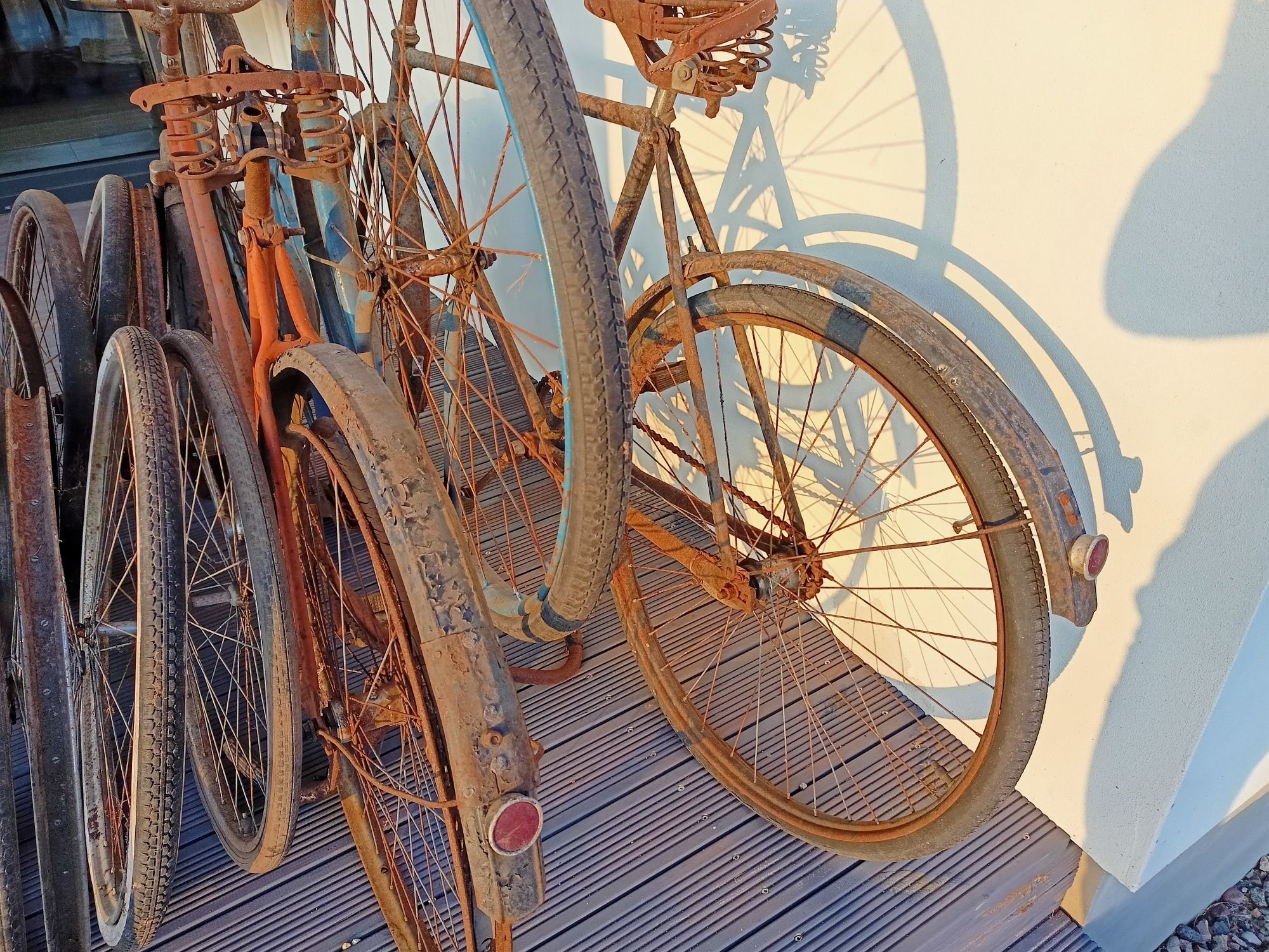 Kolekcja starych rowerów
