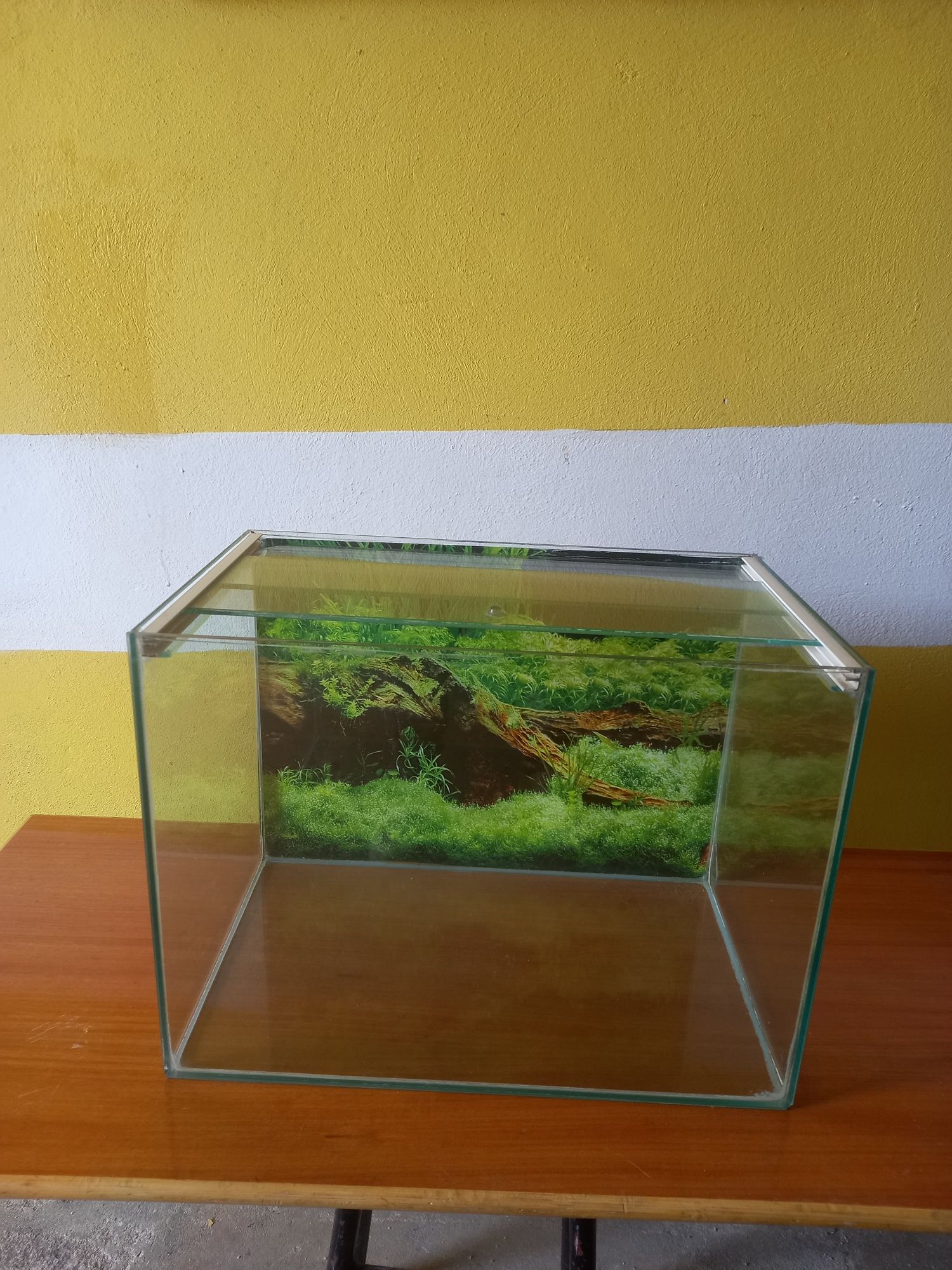 Aquários para peixes