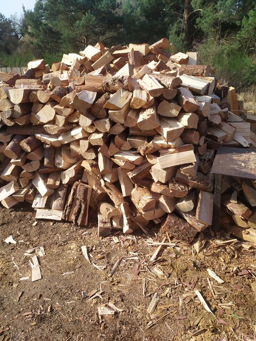Sprzedam drewno iglaste i liściaste opalowe