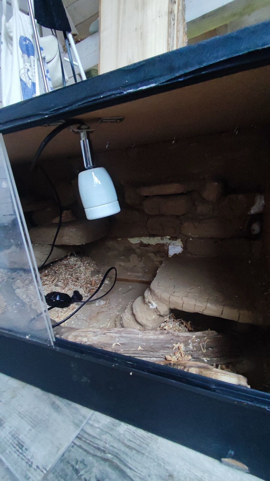 Terrarium dla węża lub jaszczurki