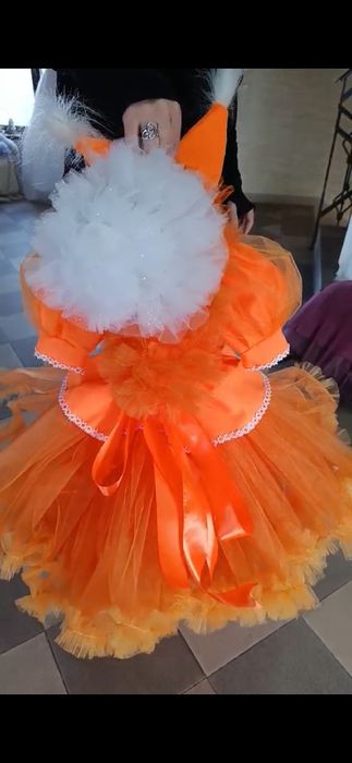 Сукня БІЛОЧКИ дитяча пишна