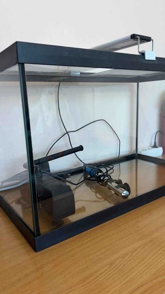 Aquario 60L com acessórios