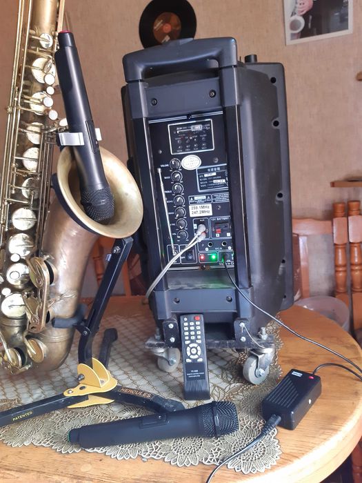 Акустическая системаTemeisheng. Полный фарш. 100ват