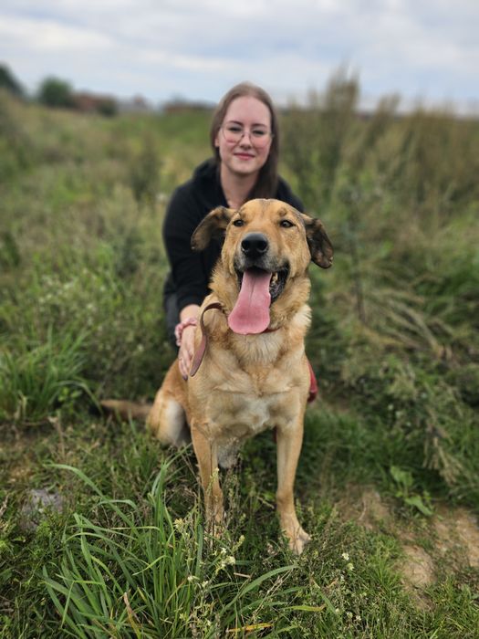 Proszę o dom dla psa Nemo