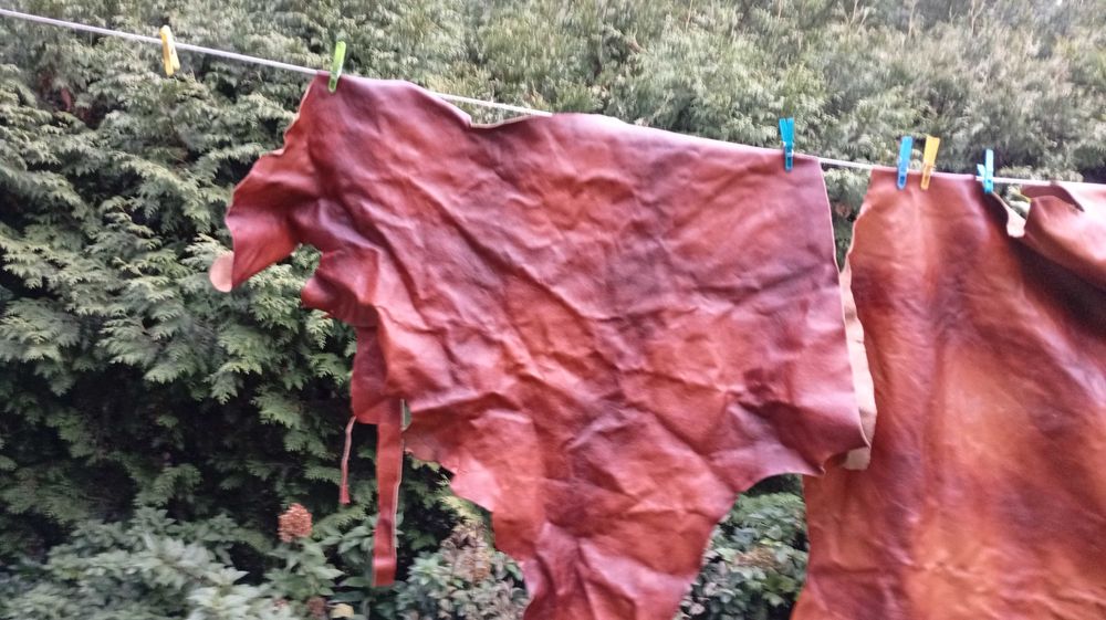 skóra naturalna w kolorze   brązu