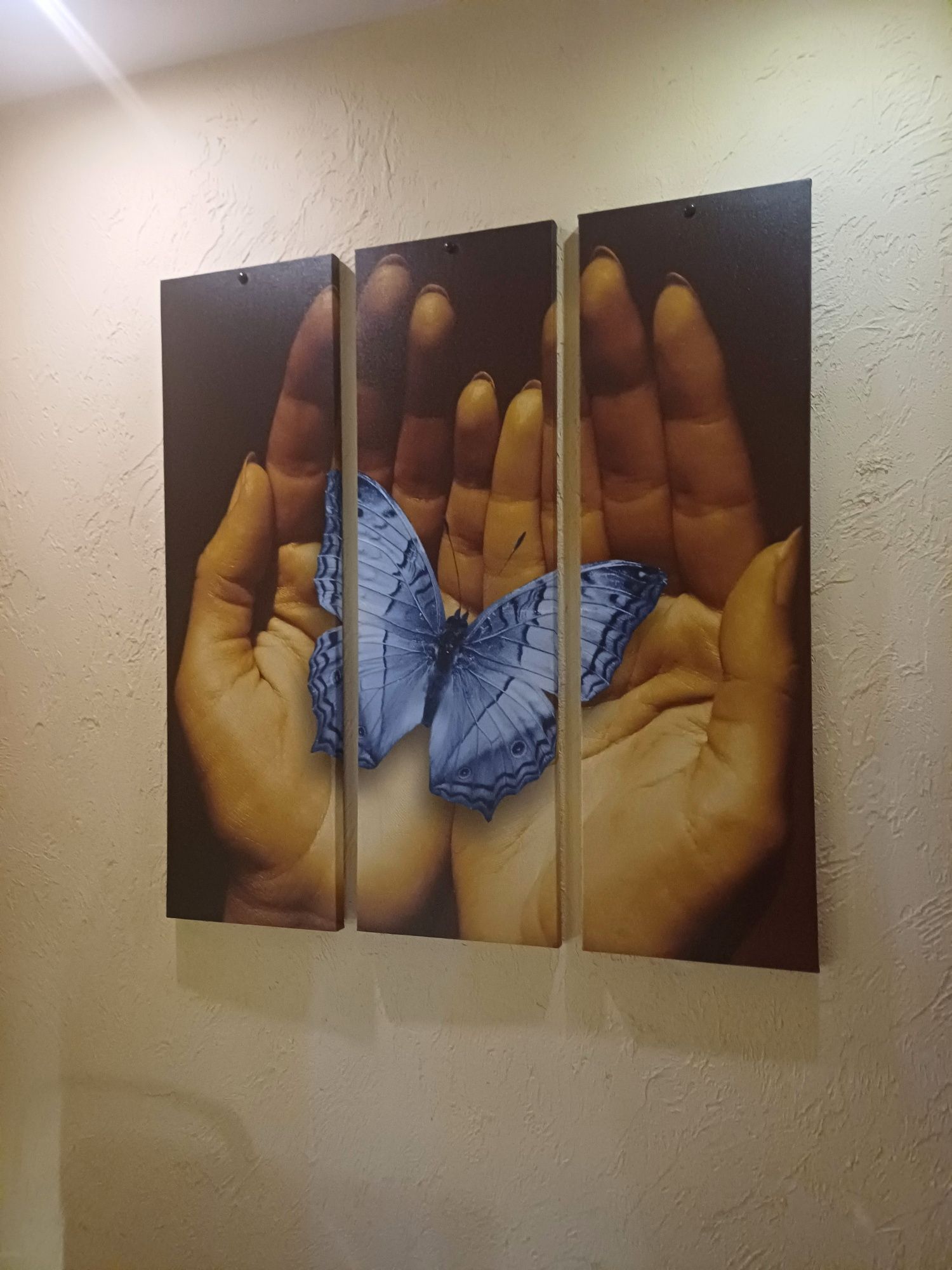Obraz na płótnie  3 D 3 częściowy motyl w dłoni