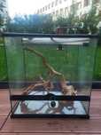 Terrarium Exo Terra szklane 60x45x60 gotowy zestaw z termostatem