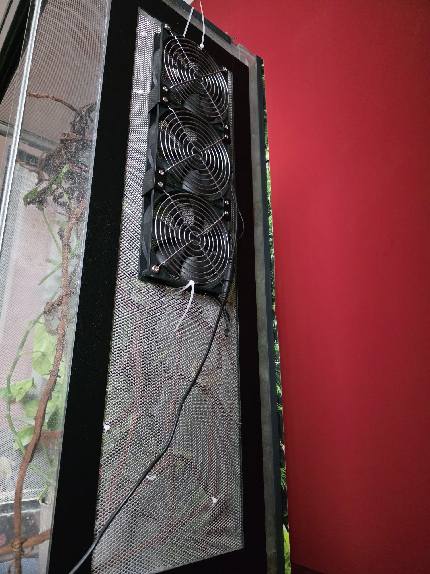 Terrarium dla kameleona z osprzętem