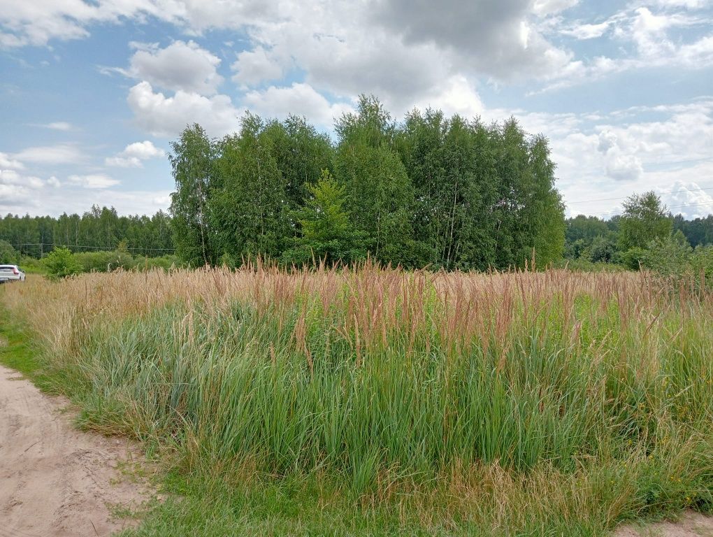Ryczyca k.Siedlec działka budowlana 3000m2