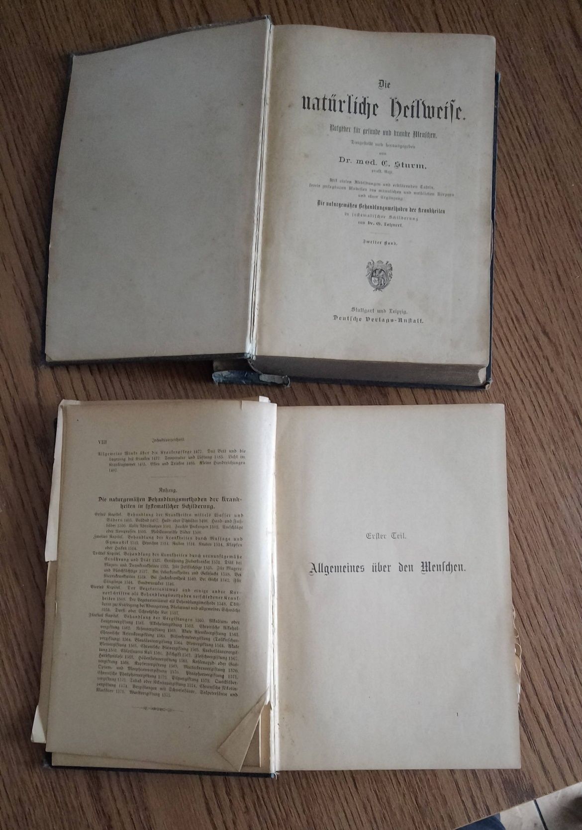 Książki Naturalna metoda leczenia 1946r dr.C.Sturm