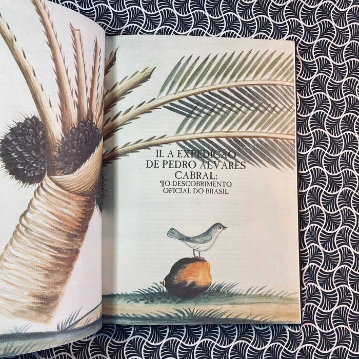 Terra Brasil 1500: A Viagem de Pedro Álvares Cabral