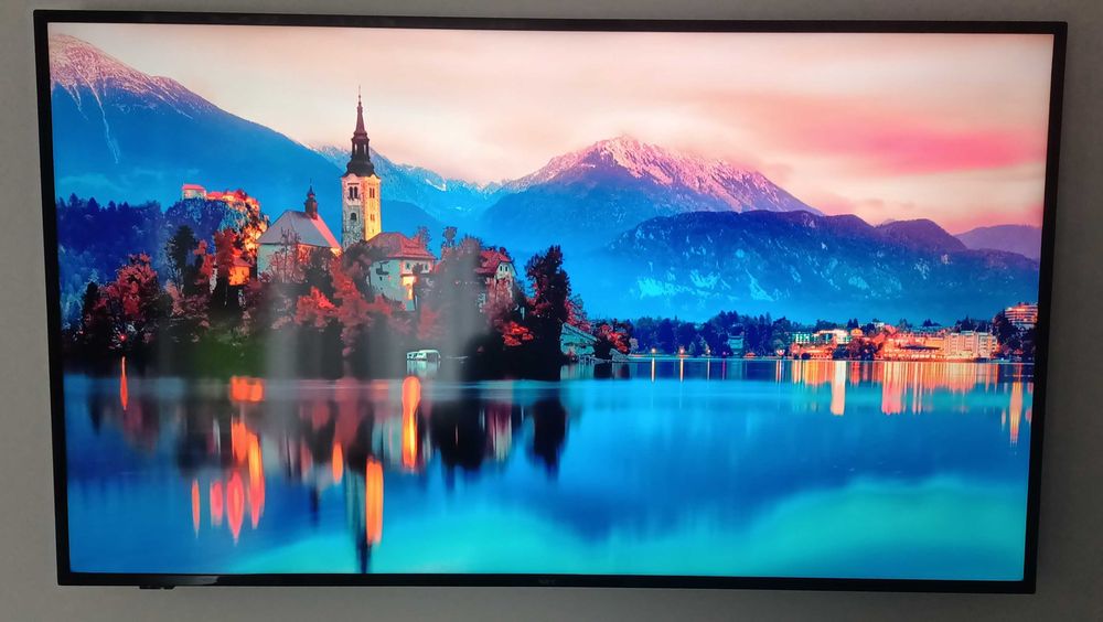 Monitor wielkoformatowy 55" NEC E557Q