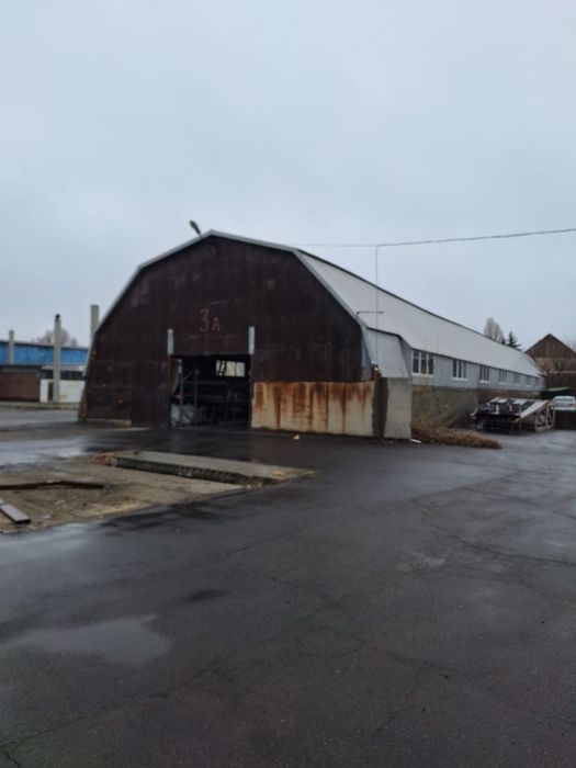 Здам в оренду склади., Вул Ол. Оцупа 4а