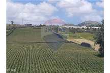 Terreno  para venda