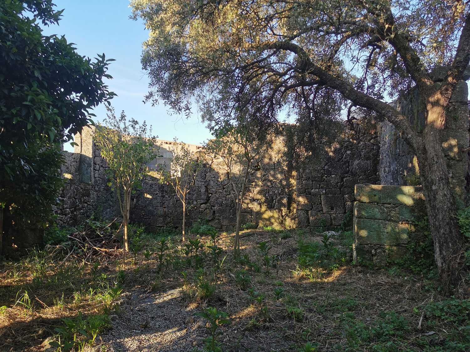 Casa charmosa de pedra com jardim (+ ruína) em Vale de Prazeres