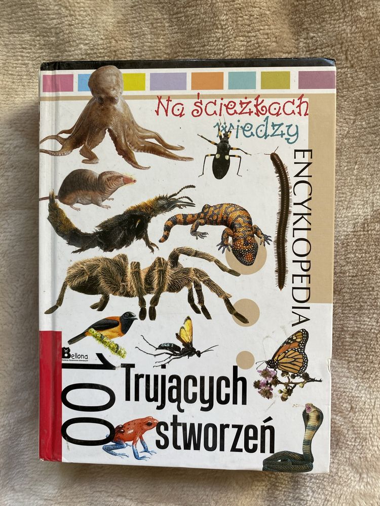 Zestaw książek encyklopedii na ścieżkach wiedzy