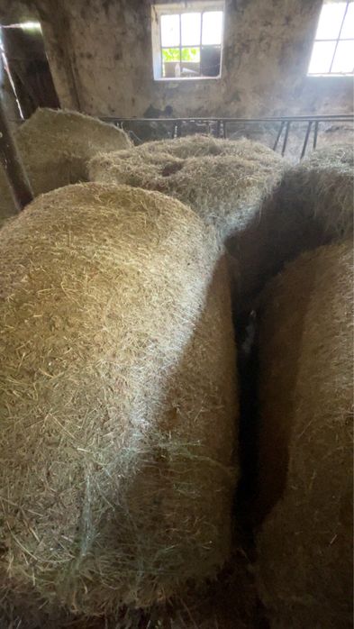 sprzedam słome i siano