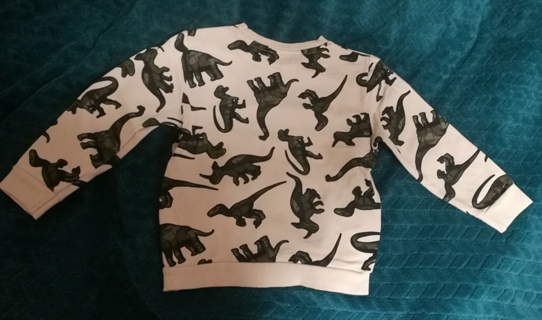 Bluza w dinozaury rozmiar 98