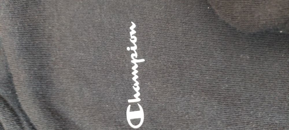 Bluza swetr champion