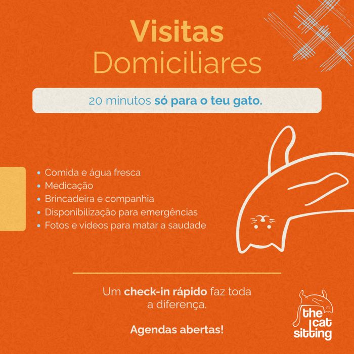 Cat Sitting | Estadia para Gatos