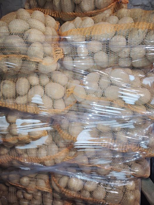 Sprzedam ziemniaki jadalne Soraya