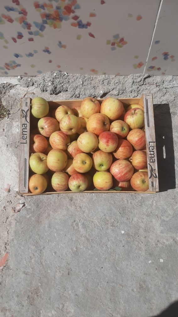 Vendo caixa de maçãs