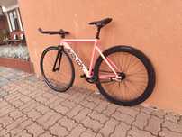 Rower Aventon Cordoba ostre single speed cinelli