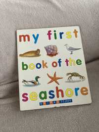 My first book of the seashore