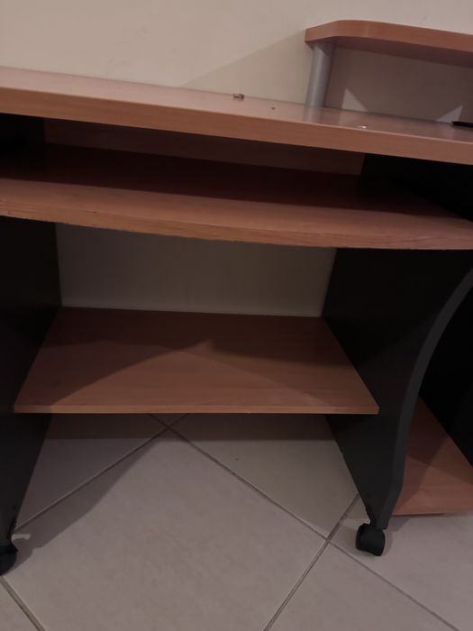 Secretaria castanha