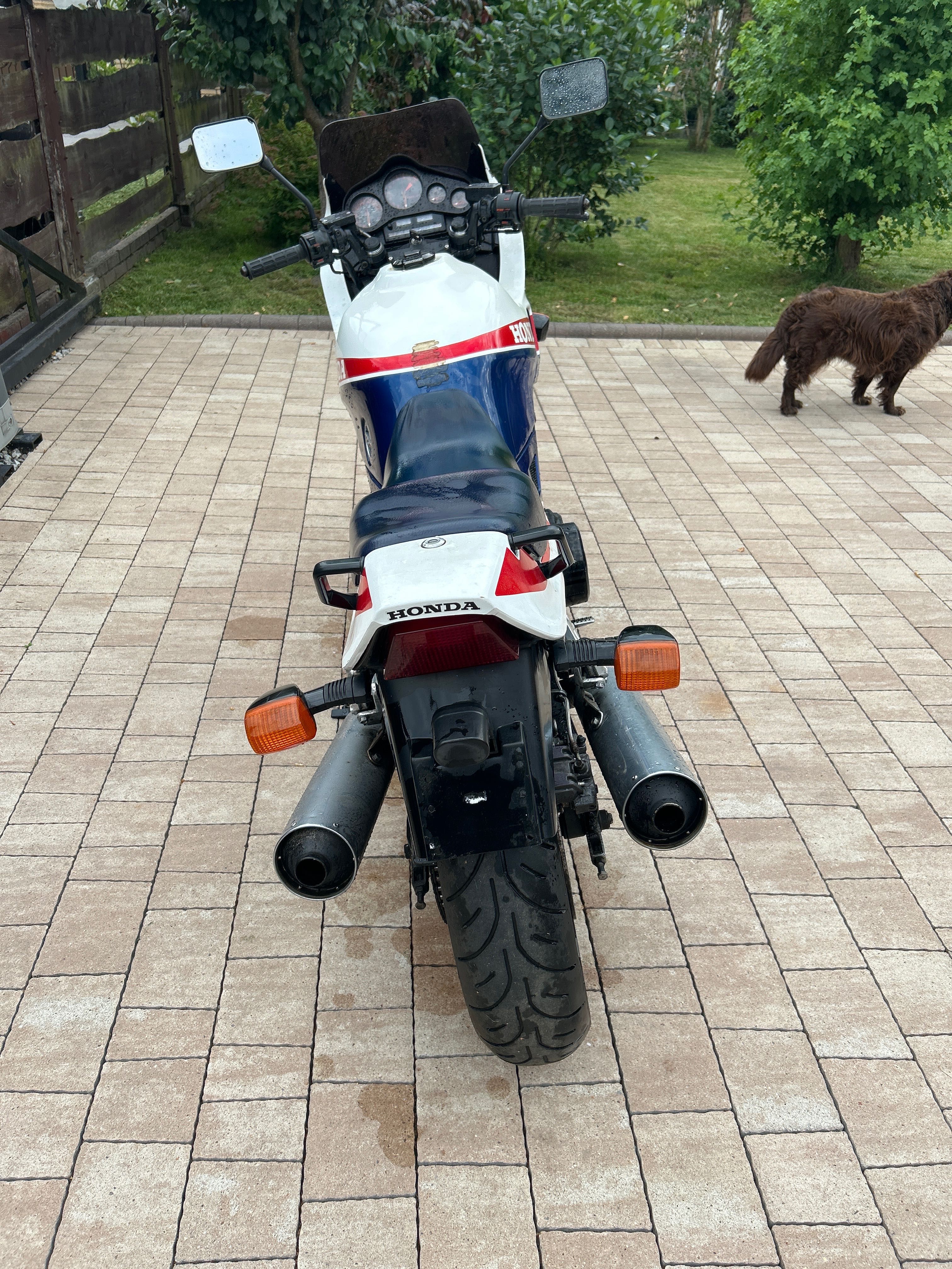 Honda vf 1000 interceptor