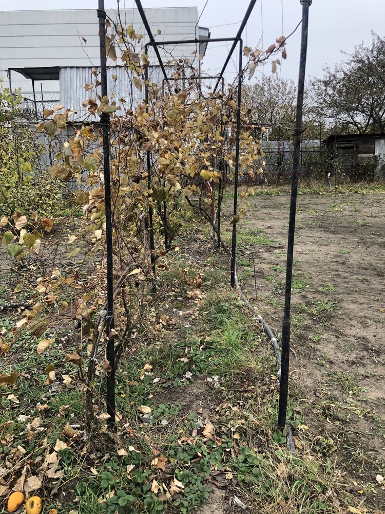 Продам небольшую дачу в ск Ветеран, к морю 15 минут!