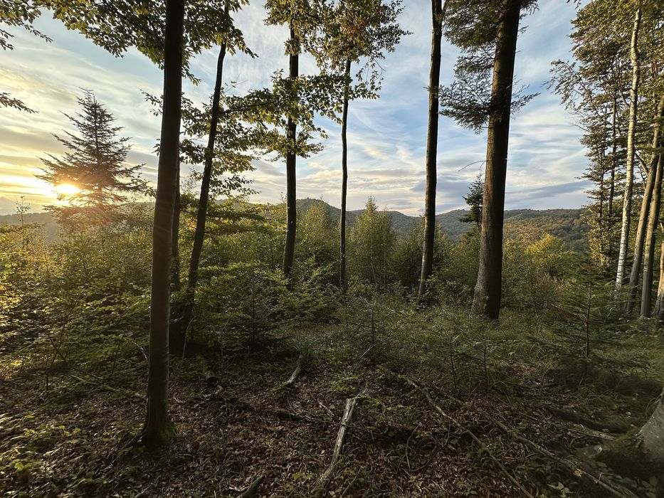 Екскурсії Караптами!Джипінг!Ексклюзивні екскурсії.Трускавець.Чан
