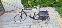 Rower Gazelle Orange Special Design