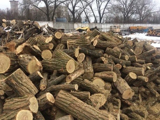 Дрова для отопления(дрова для опалення)Сосна,берза,акація