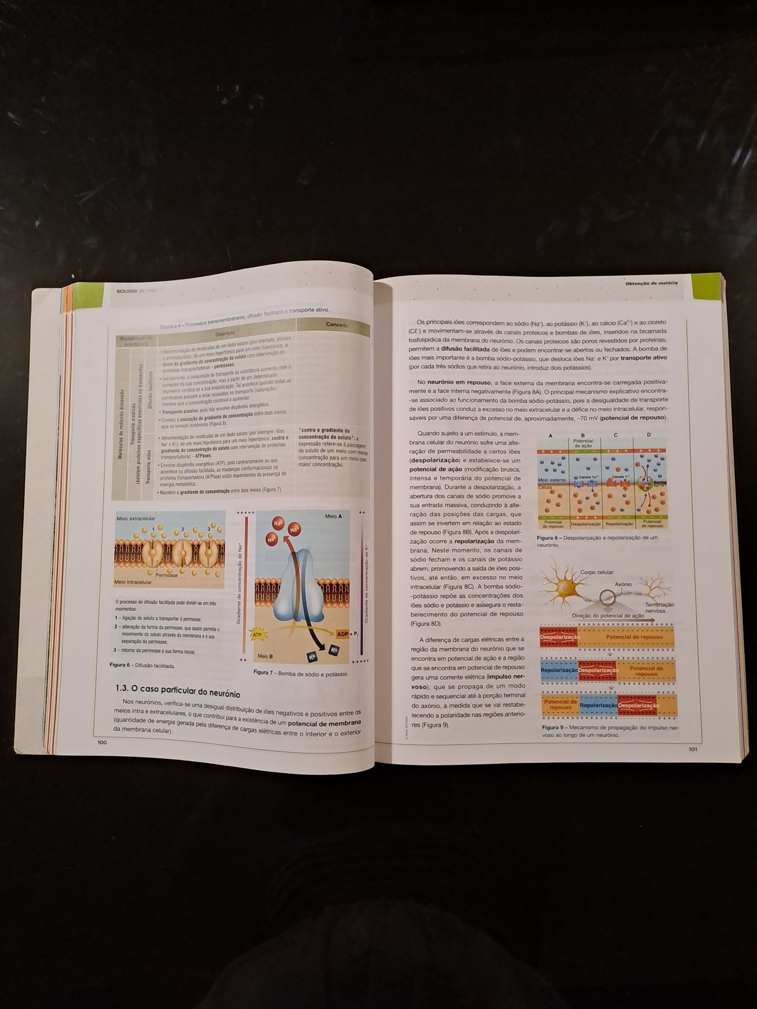 Livro Preparar para o Exame Nacional de Biologia e Geologia