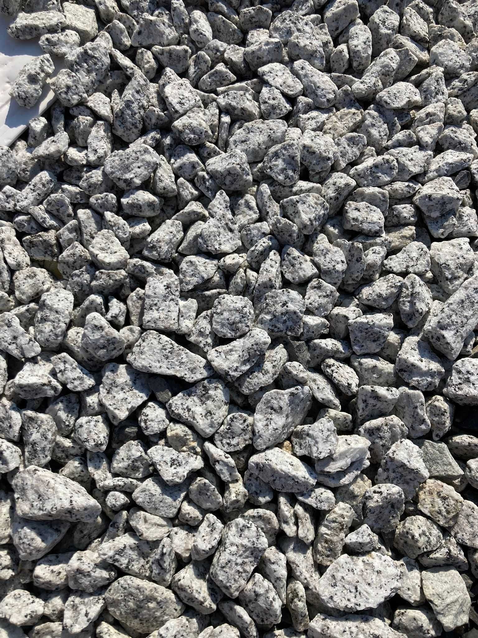 Grys granitowy dalmatyńczyk 16-22 mm granit worek 25 kg